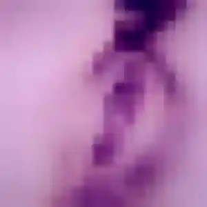 Joséphine, 28 ans, disponible à Solaro pour un plan cul