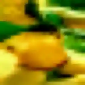 Photo perso de Rokhaya, 40 ans à Soleymieux - rencontre coquine