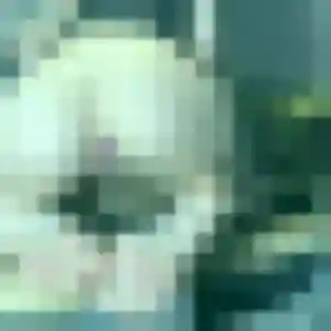 Exaucée, 28 ans, dispo pour plan cul à Somain