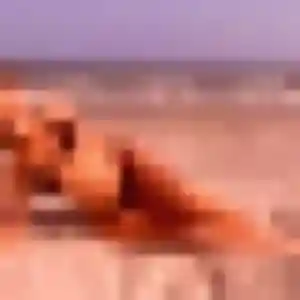 Belle Hawa, 32 ans à Sonzay - découvrir son profil