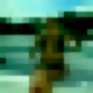 Profil de Lise à Soubise (35 ans) - plan cul discret