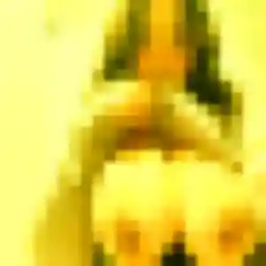 Salomé (43 ans) à Steenbecque attend un plan cul ce soir