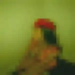 Amani, 34 ans, cherche un plan cul à Steene