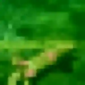 Photo de Samira à Suèvres (36 ans) - plan cul sans inscription