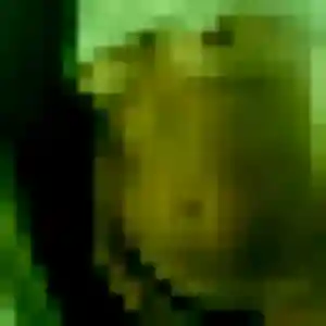 Zara, femme de 44 ans cherche plan cul à Surbourg