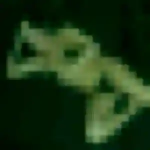 Rencontre Solène, 25 ans à Surques gratuitement