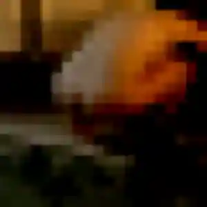 Photo de Leïla à Tagolsheim (35 ans) - plan cul discret