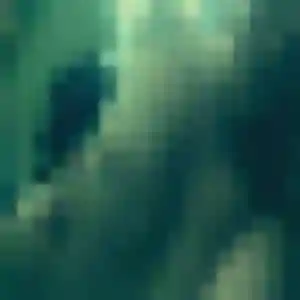 Zawadi, 44 ans, disponible à Talloires-Montmin pour une rencontre coquine