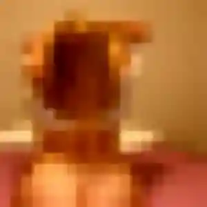 Photo de Christelle à Taluyers (31 ans) - plan cul discret