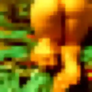 Contacte Diouma, 22 ans à Targon gratuitement