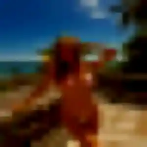 Charmante Fanta, 34 ans à Técou - découvrir son profil