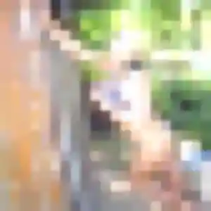 Photo privée de Sandrine, 23 ans à Tende - rencontre coquine