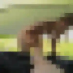 Photo perso de Yaa, 37 ans à Teting-sur-Nied - plan discret