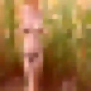 Nyima, femme de 42 ans propose plan cul à Théhillac