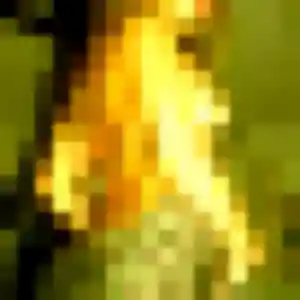 Profil de Dieynaba à Thivars (35 ans) - plan cul discret