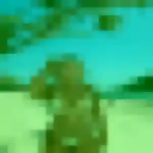 Shade, 31 ans, disponible à Thoard pour un plan cul