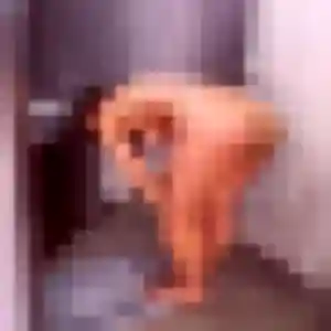 Stéphanie, fille de 24 ans cherche plan cul à Thorigny-sur-Oreuse