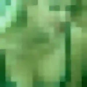 Profil de Favour à Tollevast (37 ans) - plan cul sans inscription