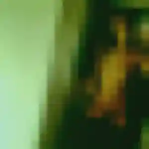 Photo de Léonie à Torcé-en-Vallée (25 ans) - plan cul discret