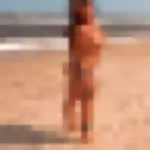 Photo exclusive de Victoire, 38 ans à Toulon-sur-Allier - plan discret