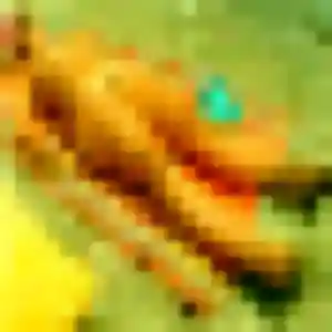 Photo perso de Afia, 41 ans à Touquin - rencontre coquine