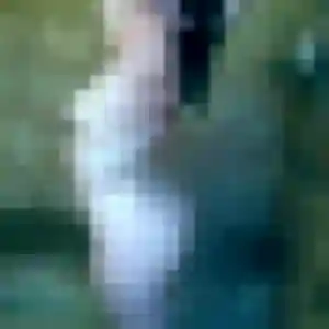 Yacine, 43 ans, en ligne à Tournay pour une rencontre coquine