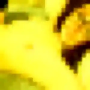 Farida, femme de 36 ans cherche plan cul à Tournon-sur-Rhône
