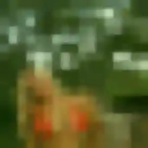 Sarah, 23 ans, connectée à Tourrettes-sur-Loup pour un plan cul