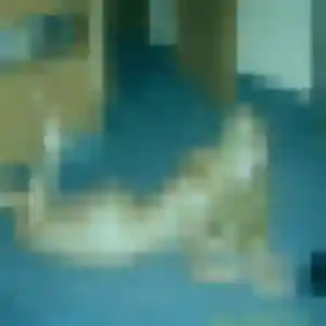 Photo exclusive de Fanny, 44 ans à Toutlemonde - rencontre sans lendemain