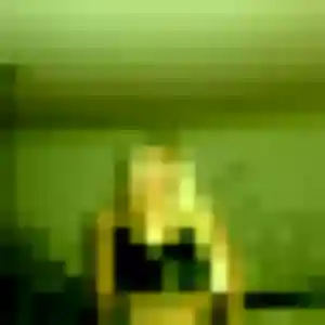 Shanelle, 34 ans, en ligne à Traenheim pour une rencontre coquine