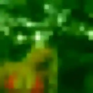 Photo sexy de Mireille, 25 ans à Tréglonou - rencontre sans lendemain