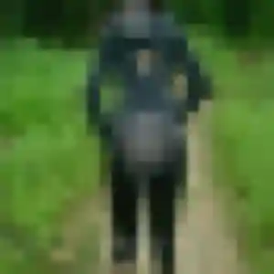 Photo perso de Stéphanie, 45 ans à Trégomeur - rencontre sans lendemain