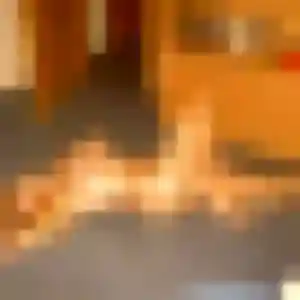 plan cul à Tréveneuc : photo de Gisèle, 43 ans - accès libre