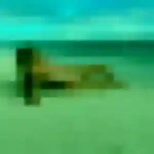 Découvre Rehema, 30 ans à Trévol gratuitement