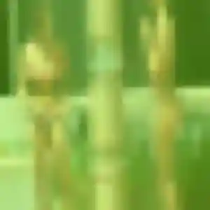 Photo exclusive de Nogaye, 33 ans à Trévoux - rencontre coquine