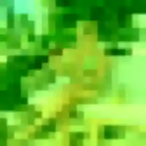 Photo privée de Akua, 35 ans à Ully-Saint-Georges - rencontre coquine