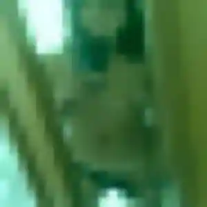 Sonia, fille de 28 ans cherche plan cul à Usson-en-Forez