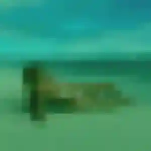 Déla, 36 ans, dispo pour plan cul à Ustaritz