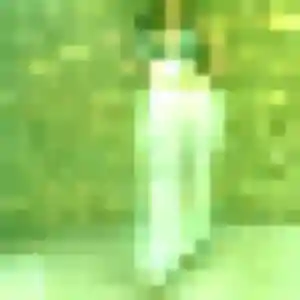 Profil de Dieynaba à Vains (35 ans) - plan cul discret