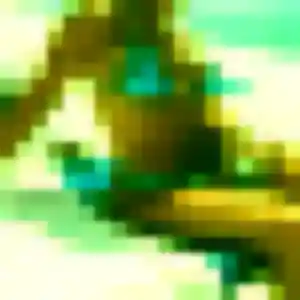 Charmante Perpétue, 29 ans à Val d'Orger - voir sa photo