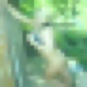 plan cul à Val-de-Meuse : profil de Precious, 27 ans - sans engagement