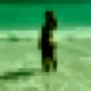 Yankuba (44 ans) à Val Suran cherche une rencontre aujourd'hui