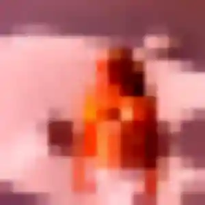 Pauline, 38 ans, cherche un plan cul à Valdeblore