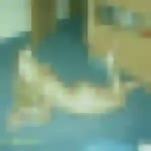 Chiamaka de Valençay, 43 ans - plan cul sans prise de tête