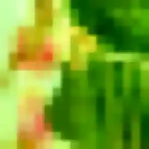 Sarah, 44 ans, en ligne à Valencisse pour une rencontre coquine