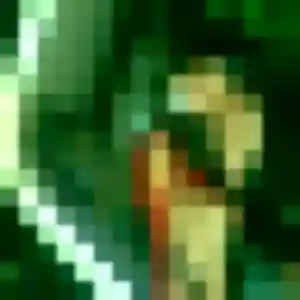 Photo de Tanoh à Valencogne (35 ans) - plan cul sans inscription