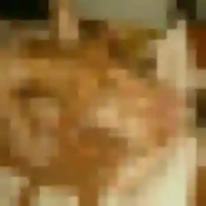 Rosalie, 44 ans, cherche un plan cul à Vallet