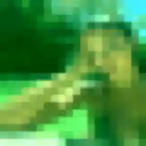 Profil de Astou à Vaux (41 ans) - plan cul gratuit