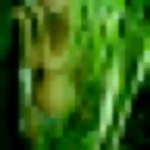 Diane de Vayres, 35 ans - plan cul en toute liberté