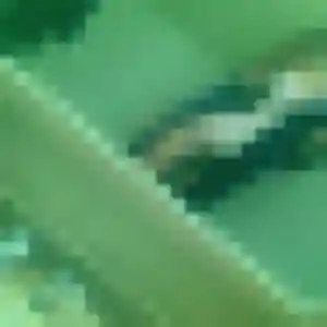 Profil de Soda à Velaines (39 ans) - plan cul discret